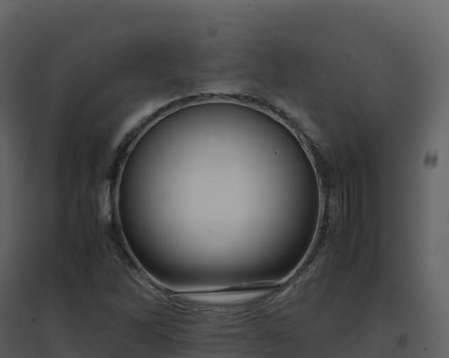 X0000096651262200802121124