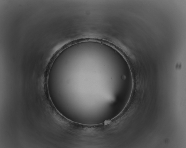 X0000096651264200802121124