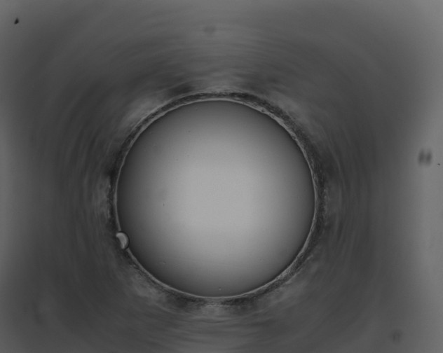 X0000096651265200802121124