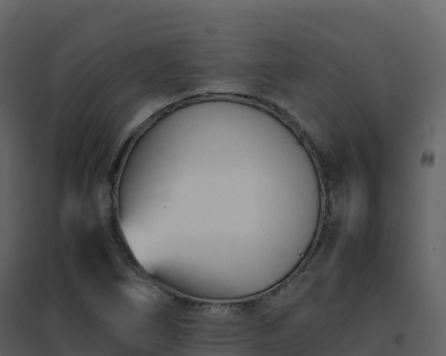 X0000096651266200802121124