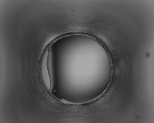 X0000096651267200802121124