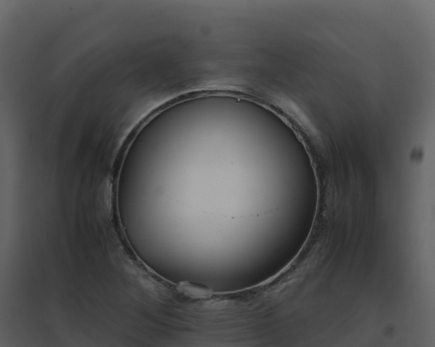 X0000096651268200802121124