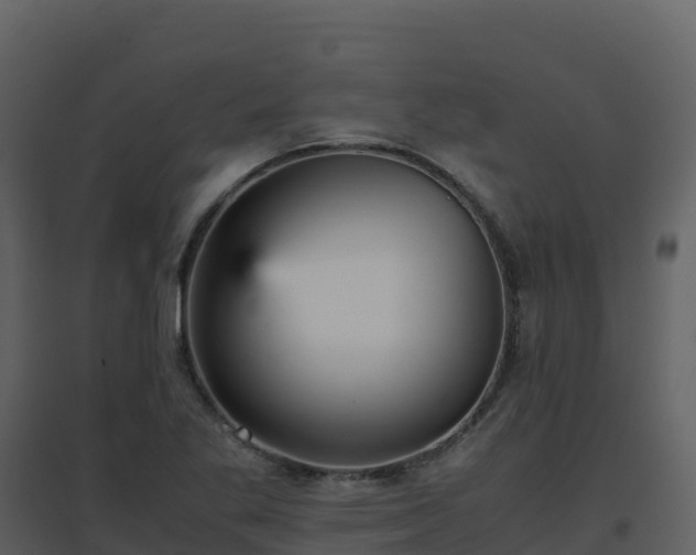 X0000096651269200802121124