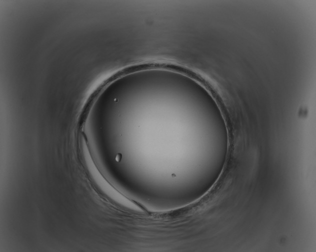 X0000096651271200802121124