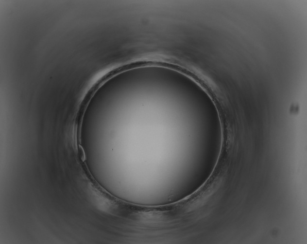X0000096651272200802121124