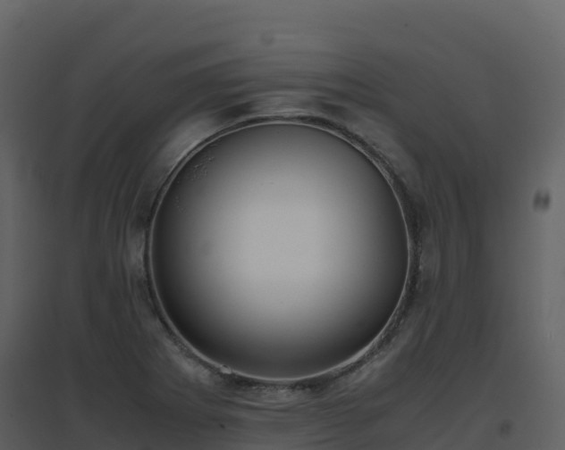 X0000096651273200802121124