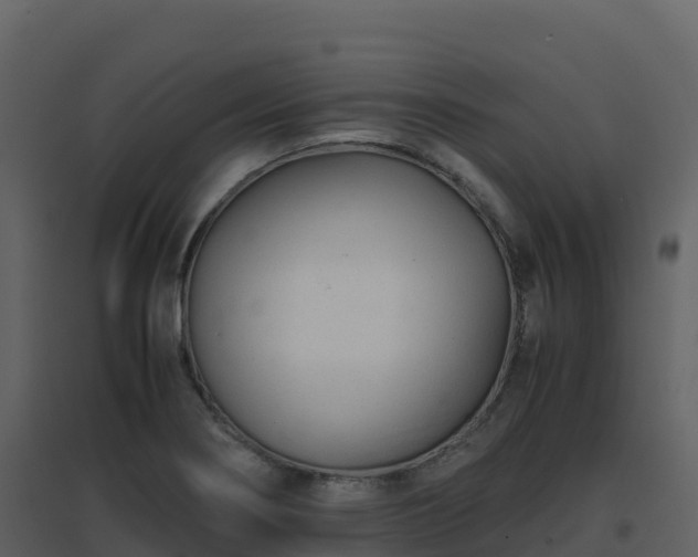 X0000096651274200802121124