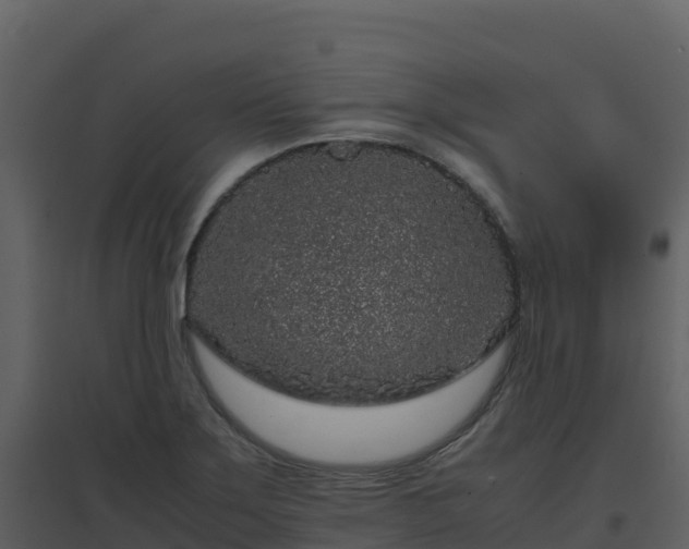 X0000096651275200802121124