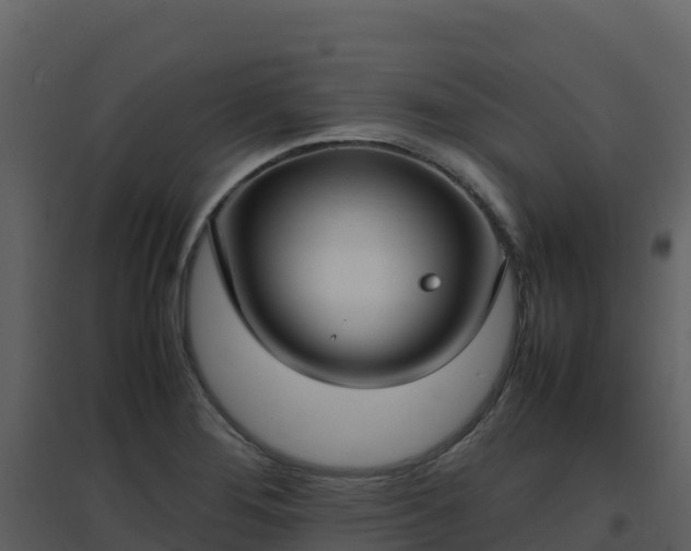 X0000096651276200802121124