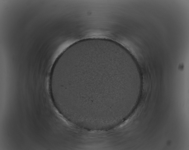X0000096651277200802121124