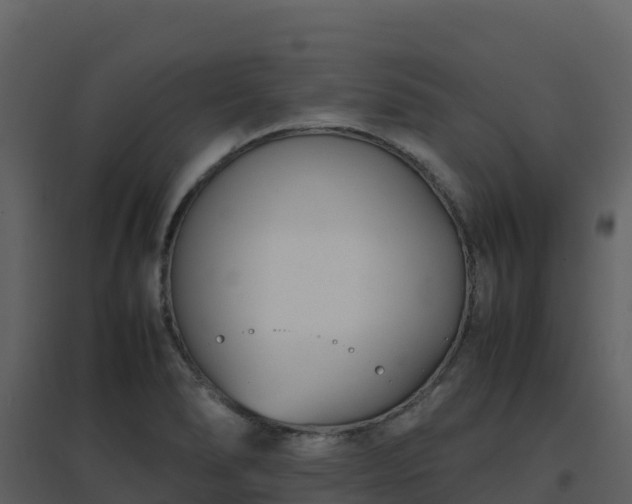 X0000096651278200802121124