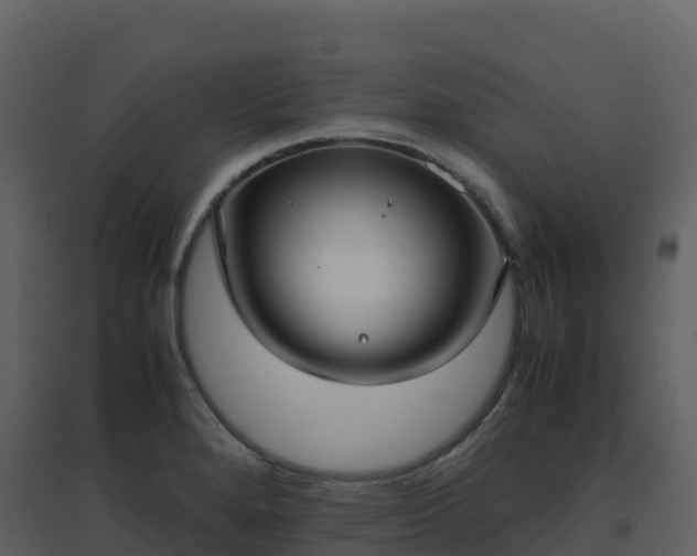 X0000096651280200802121124