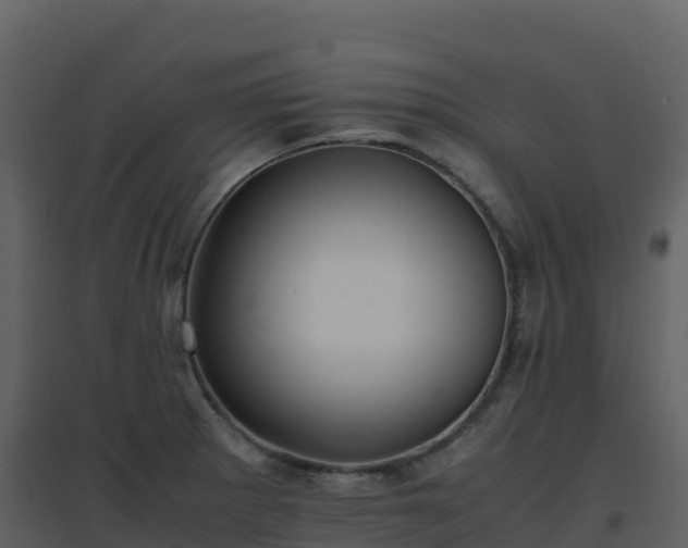 X0000096651281200802121124