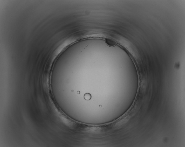X0000096651282200802121124