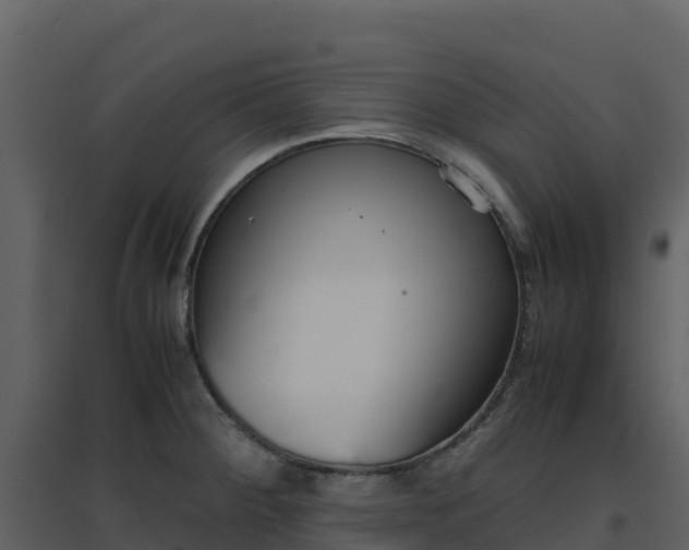 X0000096651284200802121124