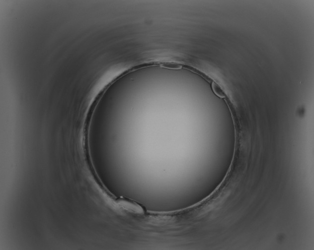 X0000096651285200802121124