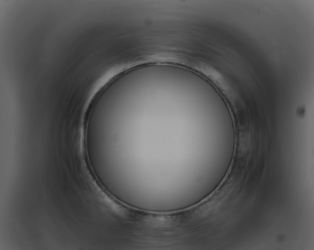 X0000096651286200802121124
