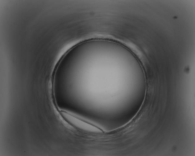 X0000096651287200802121124