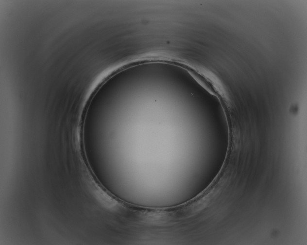 X0000096651288200802121124