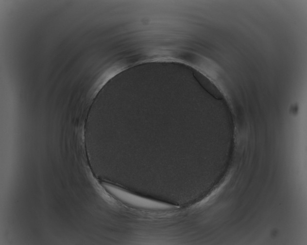 X0000096651289200802121124