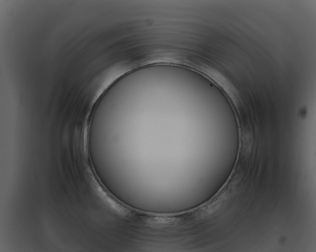 X0000096651290200802121124