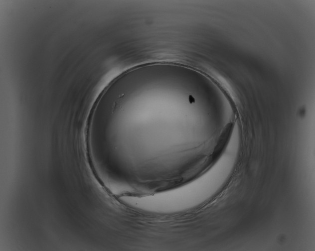 X0000096651291200802121124