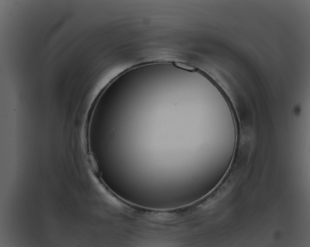 X0000096651293200802121124