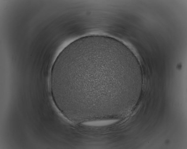 X0000096651295200802121124