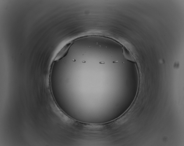 X0000096651296200802121124