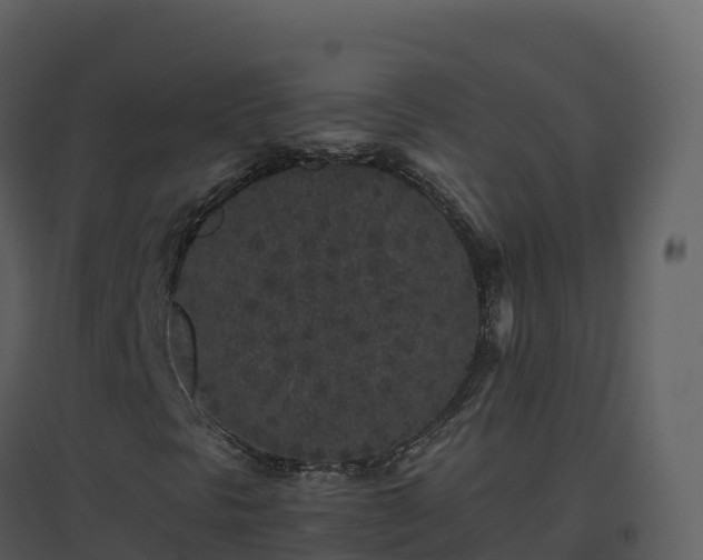 X0000096651297200802121123