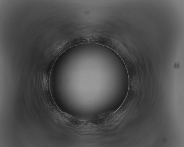 X0000096651298200802121123