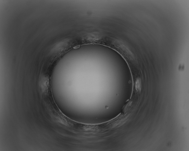 X0000096651299200802121123