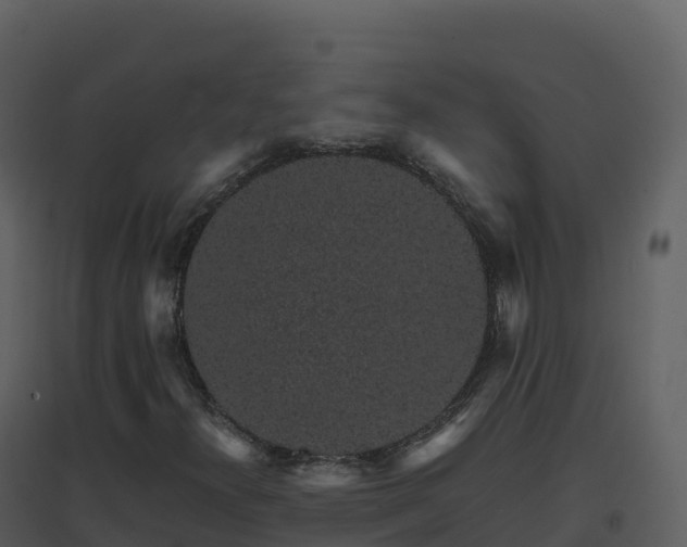 X0000096651300200802121123