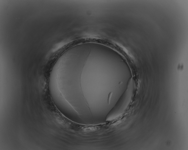 X0000096651303200802121123