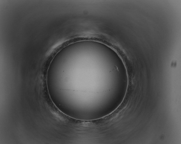 X0000096651304200802121123