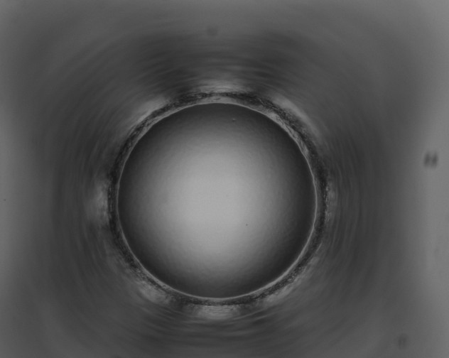 X0000096651305200802121123