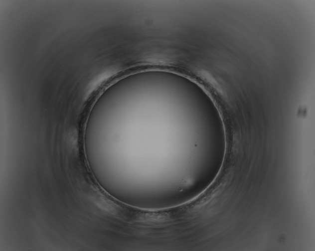 X0000096651307200802121123