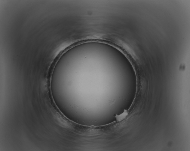 X0000096651308200802121123