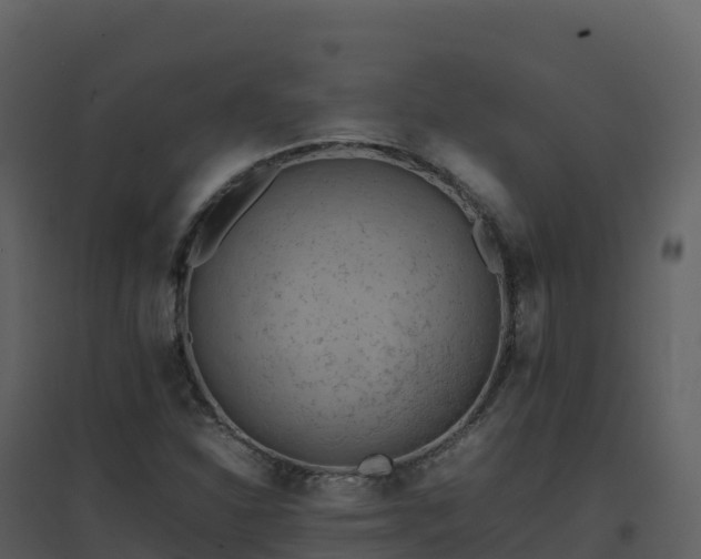 X0000096651310200802121123
