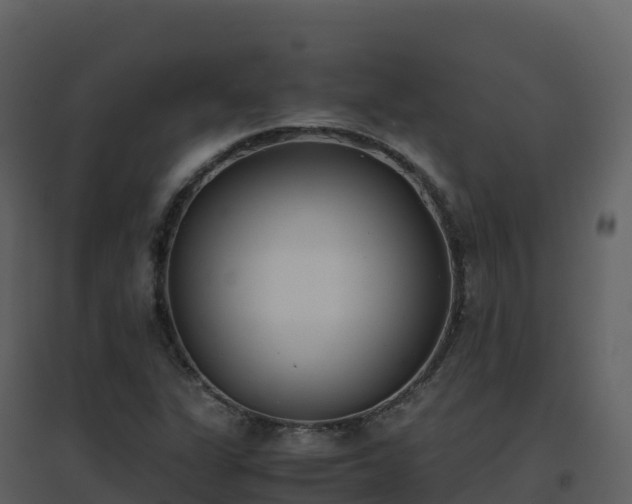 X0000096651311200802121123