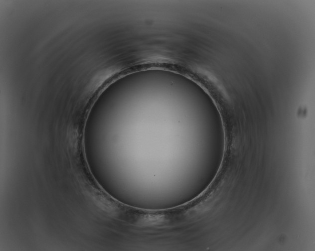 X0000096651313200802121123