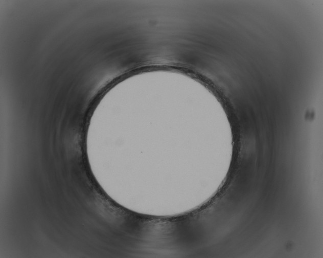 X0000096651314200802121123