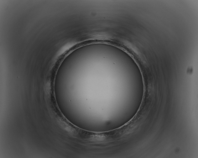 X0000096651315200802121123