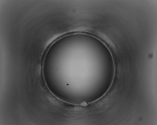X0000096651316200802121124