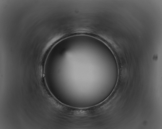X0000096651317200802121124