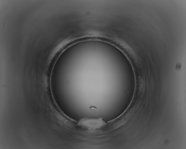 X0000096651318200802121124