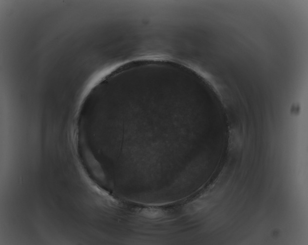 X0000096651319200802121124