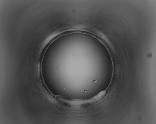 X0000096651320200802121124