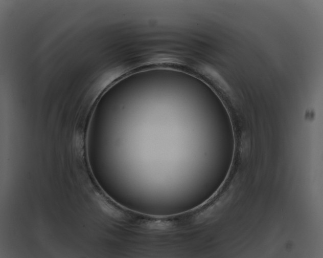 X0000096651321200802121124