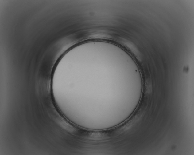 X0000096651322200802121124